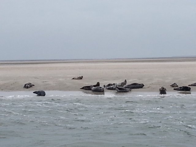 HWK Texel 112.jpg